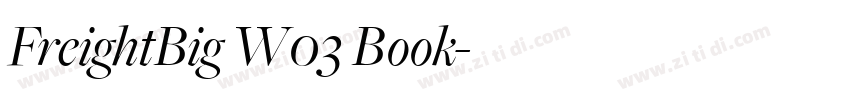 FreightBig W03 Book字体转换